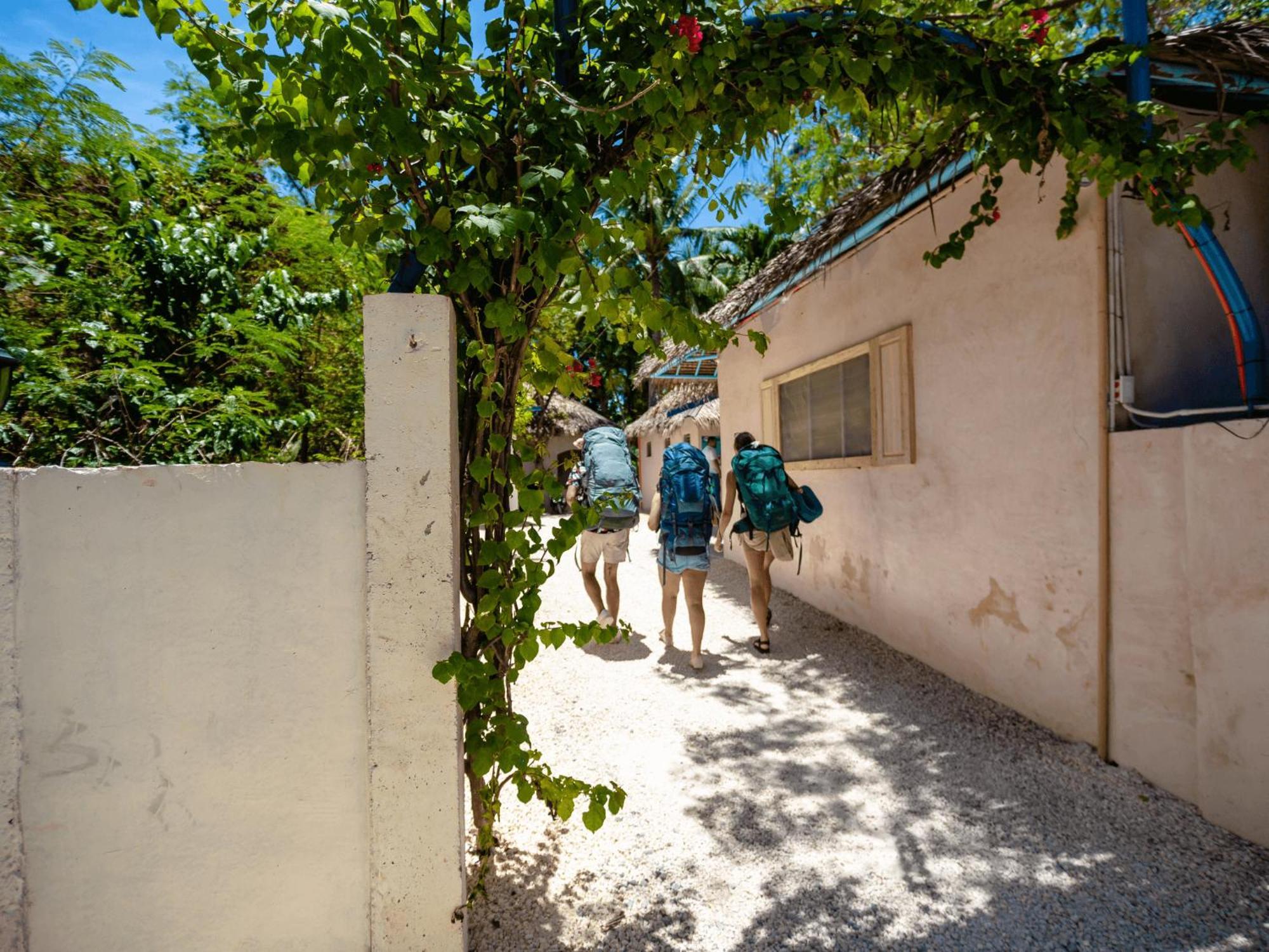 Mad Monkey Panglao Hostel Εξωτερικό φωτογραφία